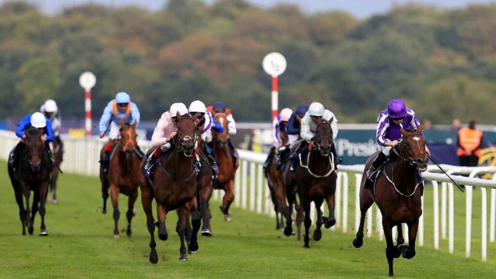 Luxury Travel Calendar - St Leger Stakes - Private Jet Charter