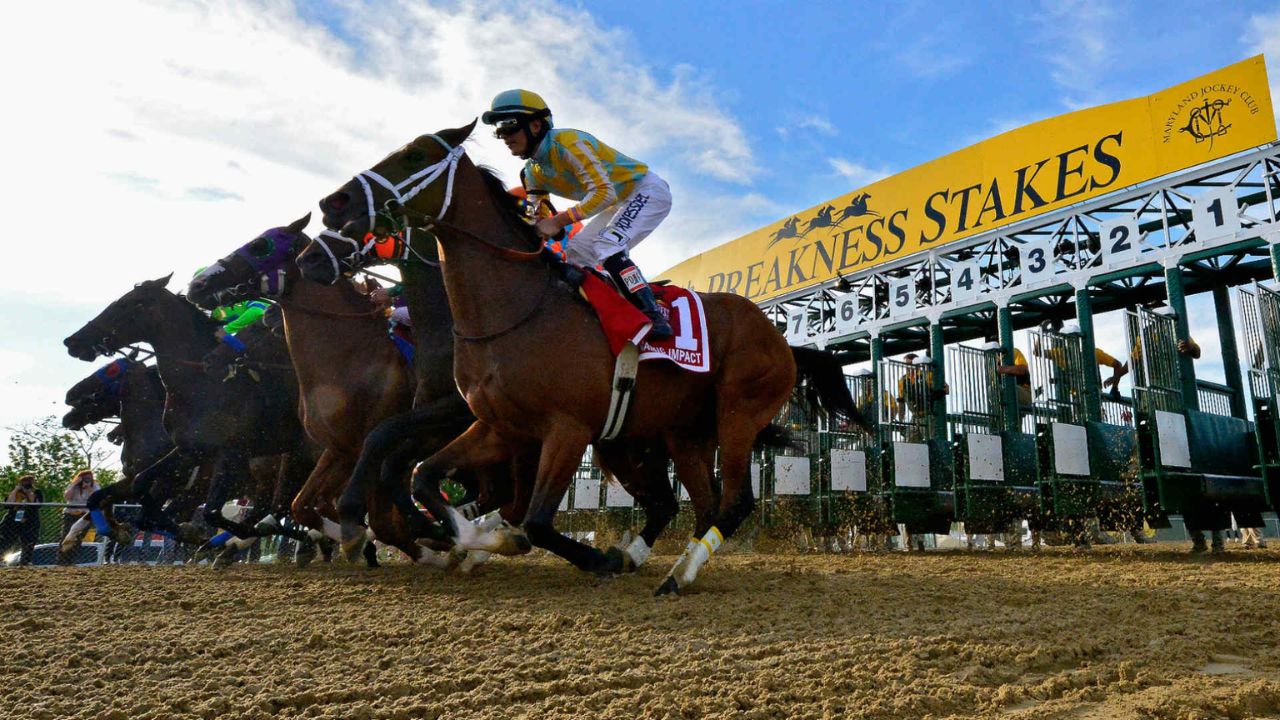 Luxury Travel Calendar - The Preakness Stakes - Private Jet Charter